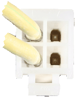 bx pt suprima l 796917 pcb pl3 connection.gif